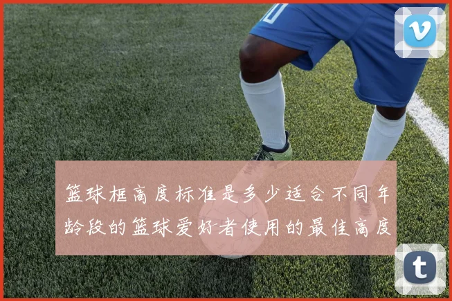 篮球框高度标准是多少适合不同年龄段的篮球爱好者使用的最佳高度解析