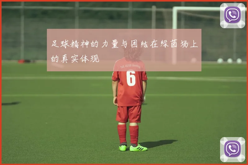 足球精神的力量与团结在绿茵场上的真实体现