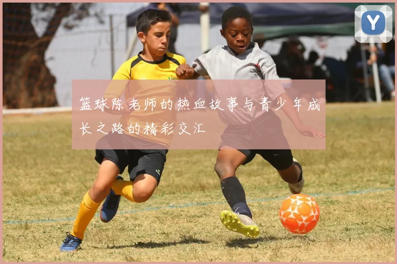 篮球陈老师的热血故事与青少年成长之路的精彩交汇