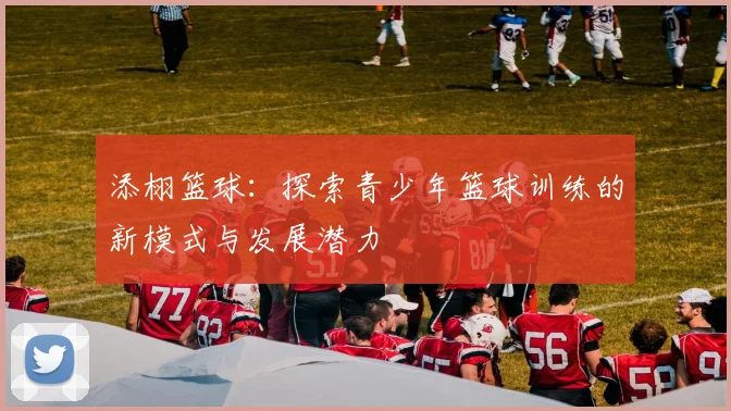 添栩篮球：探索青少年篮球训练的新模式与发展潜力