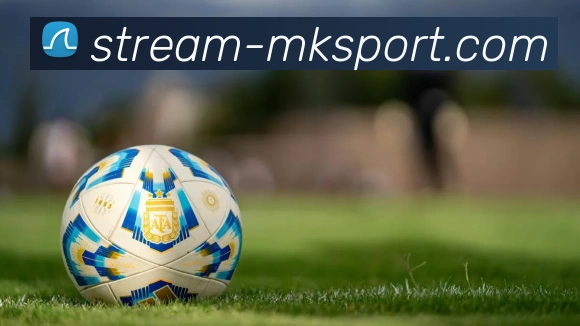 MK在线服务体系